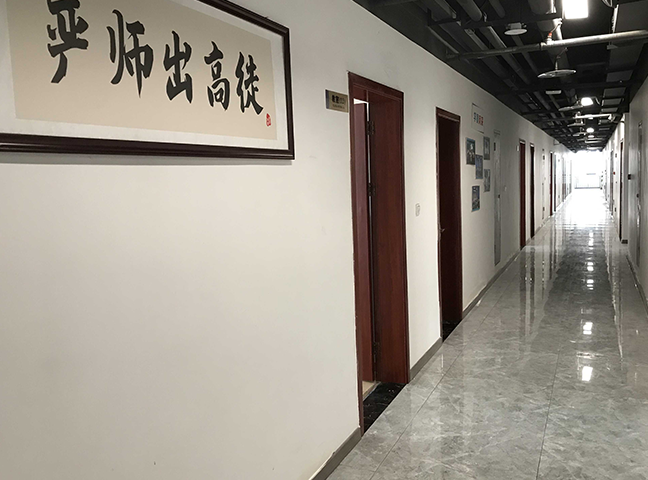 单招培训的效果和录取率如何