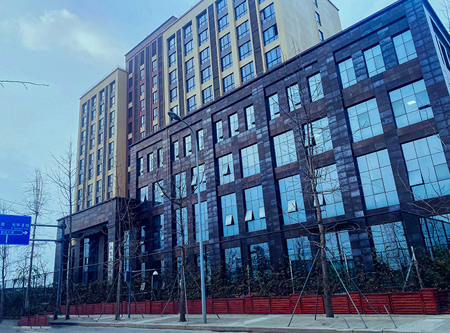 单招培训学校主要培训哪些课程