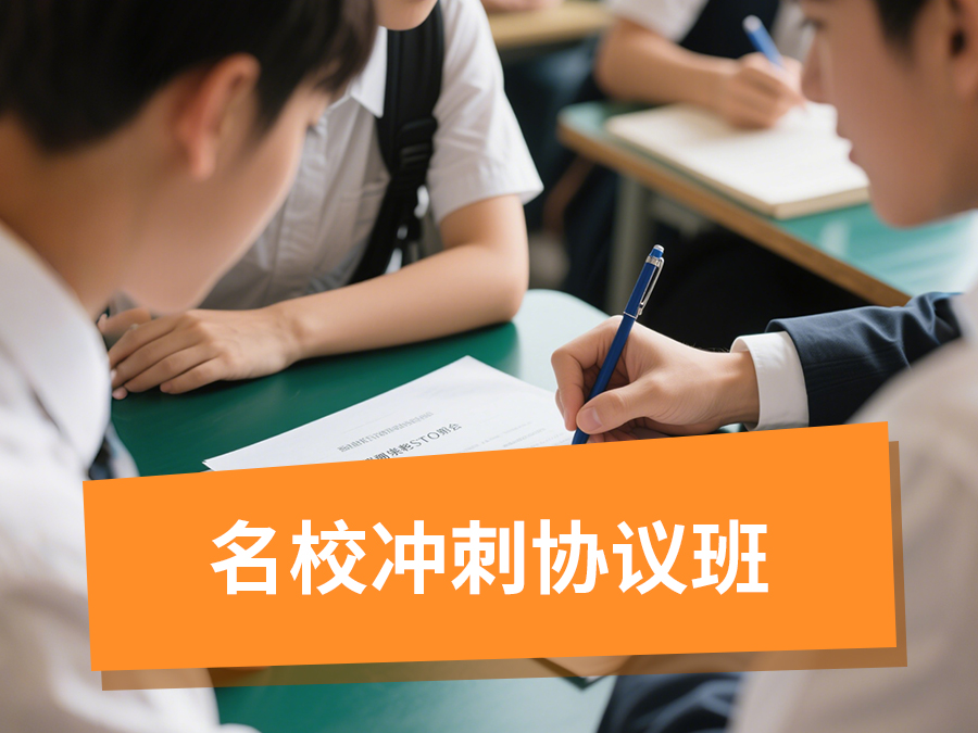 名校冲刺协议班