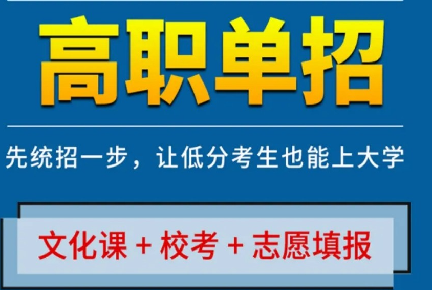 高三应届生单招突围战：专属定制课程，助你提前锁定理想大学-