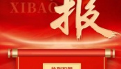 成都单招培训靠谱机构怎么选？认准这几家准没错