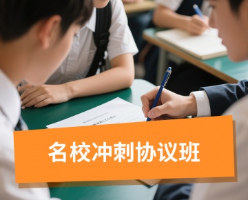 名校冲刺协议班